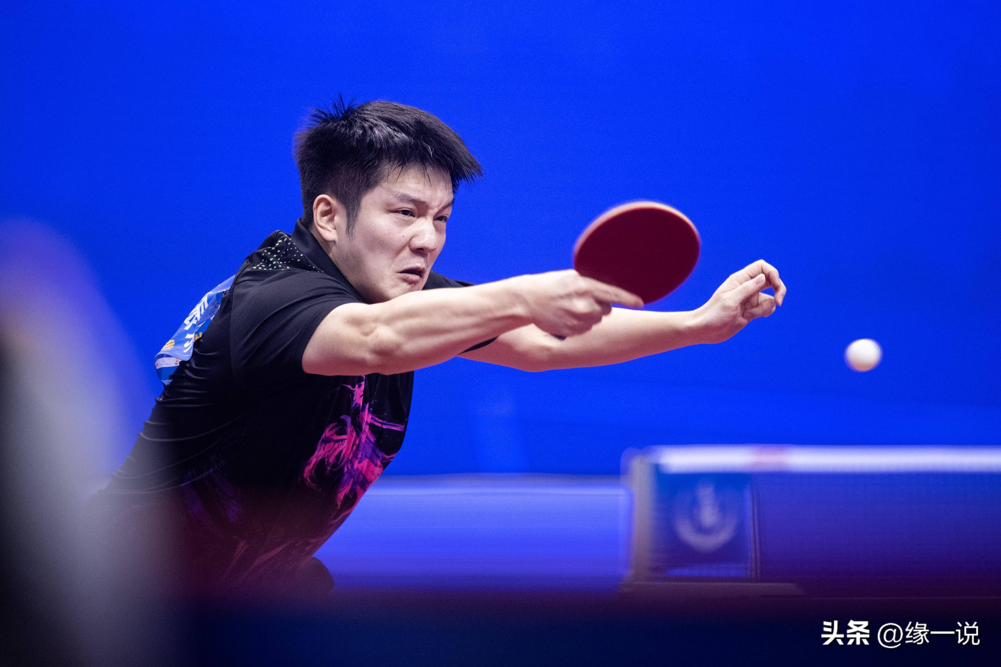波兰队翻盘韩国队,樊振东点燃赛场 波兰队翻盘韩国队,樊振东点燃赛场
