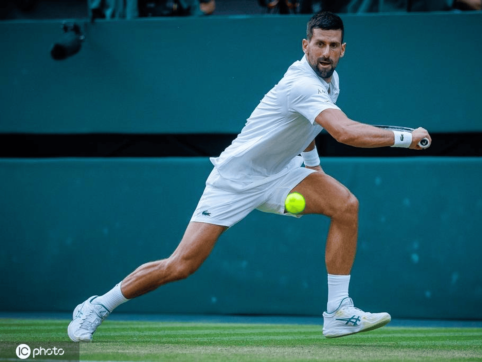 年终总决赛鏖战拉沃尔杯，德约科维奇惊艳四座