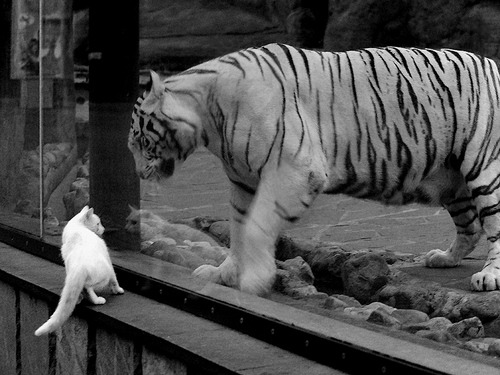 冰封利刃,德罗赞防守锁死强敌,掘金力克北京展现实力