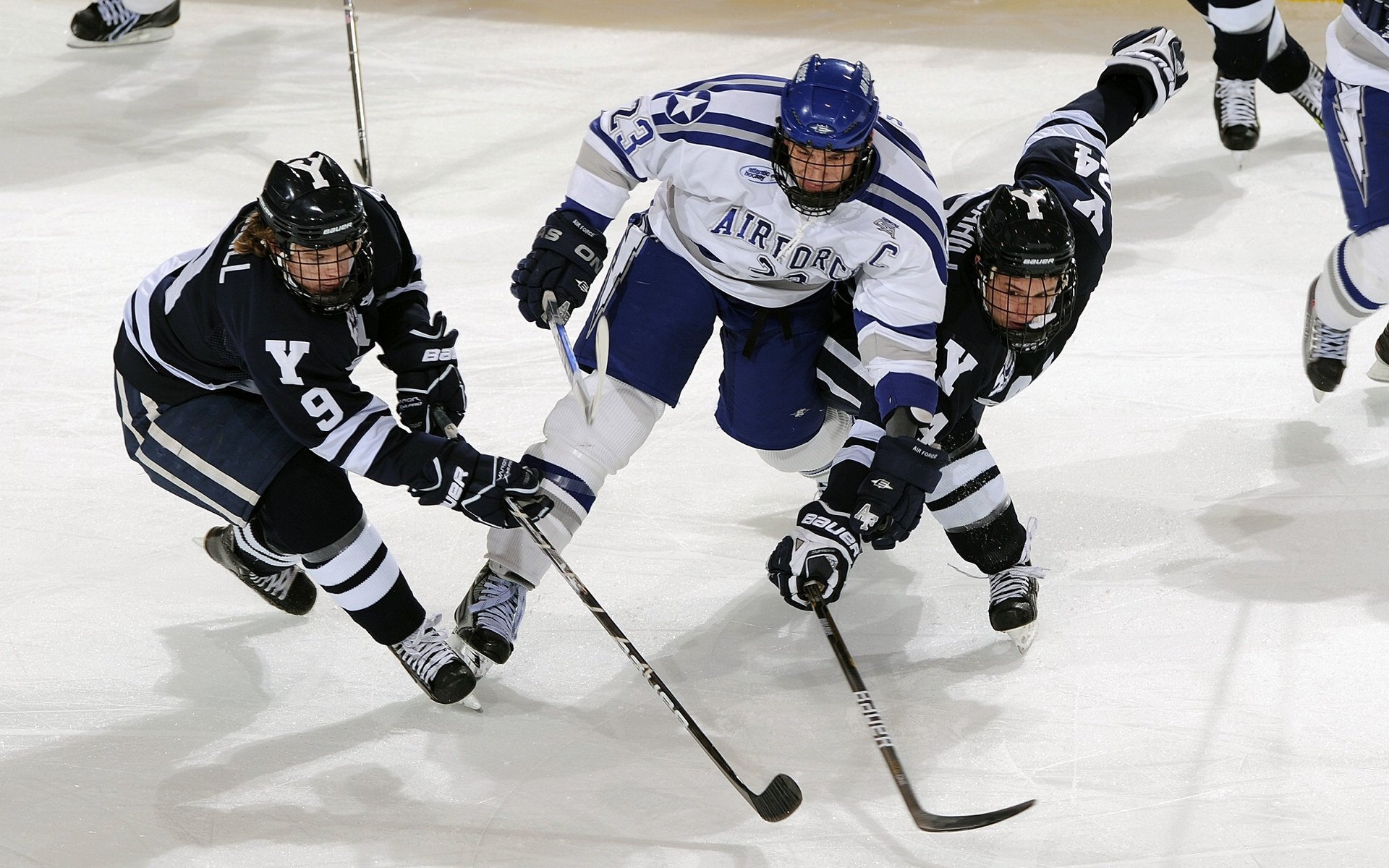 从CBA到NBA再到世界之巅，辽宁精神、浓眉时刻与篮球世界的奇妙联结