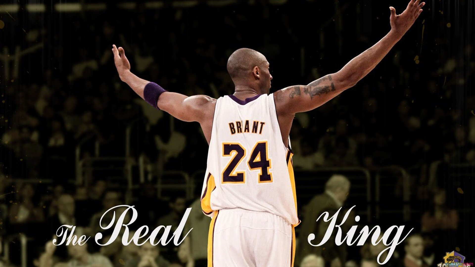 东决关键战焦点战，阿尔及利亚横扫沙特，北非雄狮的战术革命